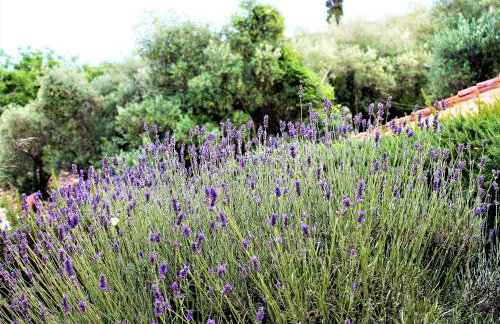 Apartmani Klaudija - Foto 60