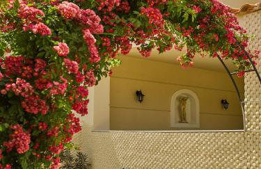 Renko Royal Villa - Private Infinity Pool & Garden - Athens Riviera - Foto 33