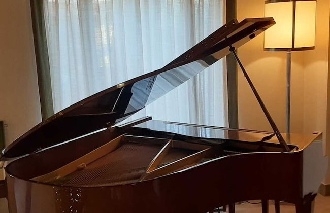 FonteLiving - Foto 4