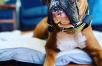 Cooden Cottage - Foto 35