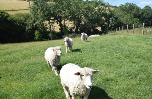 2 Bed in Bude oc-00952 - Foto 26