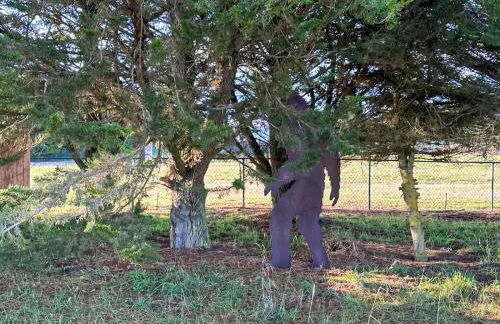 Olympic Oasis Tranquil Retreat Near Dungeness Wildlife Refuge Hot Tub - Foto 27