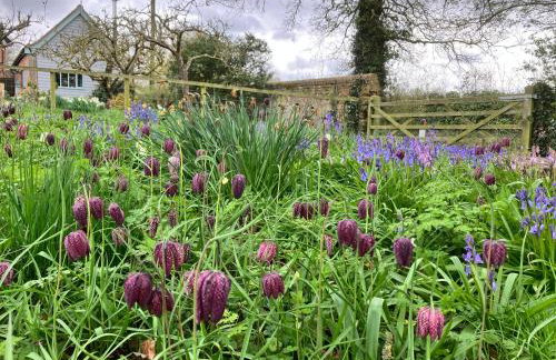 Simpers Drift, Great Glemham - Photo 17