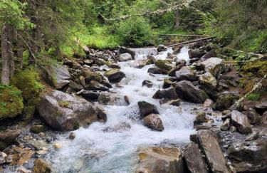 Le Cocon des Cîmes - Photo 17