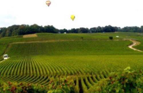 Le Cocon à Ay-Champagne Escapade romantique & dégustation de Champagne - Foto 32