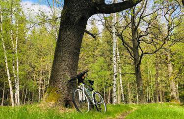 Agroturystyka u Strażaka - Foto 63