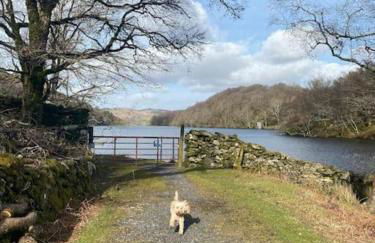 Love Lane Cottage Dolgellau - Foto 27