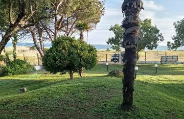 Blue Horizon - Foto 3