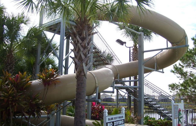 Mickey's Menagerie - Foto 10