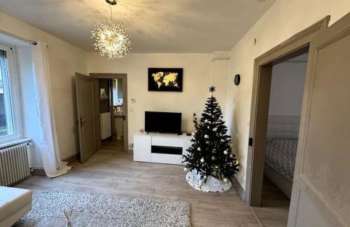 Charmant appartement de 3 pièces, Colmar - Foto 11