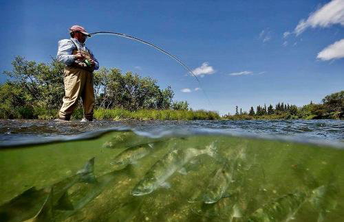 Riverfront Cabin Rental with All Meals Included inside Katmai National Park on the Alagnak Wild River, Alaska - Foto 18
