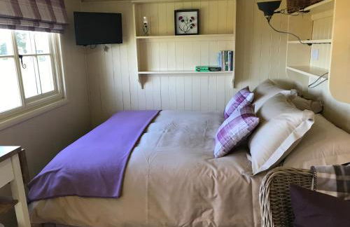 The Hawthorn Shepherds Hut - Photo 15