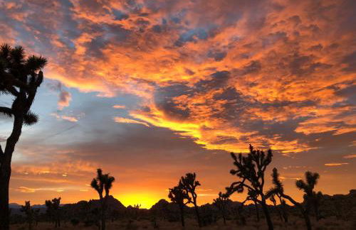 Cozy desert retreat with amazing views only 4 miles to JTNP - Foto 70