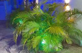 Bela casa de Veraneio - faça sua reserva. - Foto 8