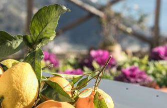 La Luna di Cristina - Foto 16