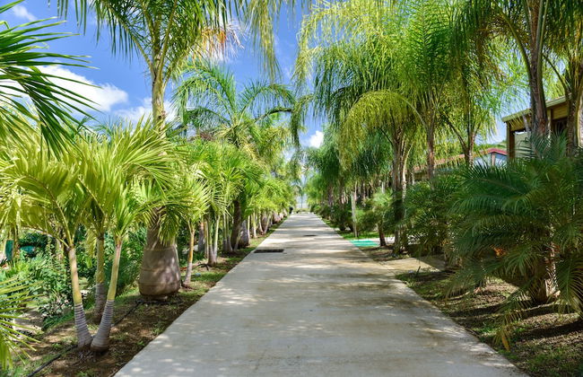 Le Village de la Pointe - Photo 56