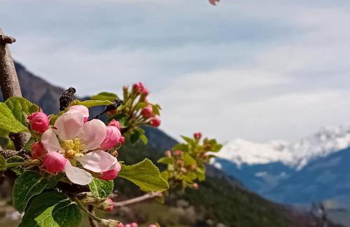 FeWo Passo-Palade - Foto 24