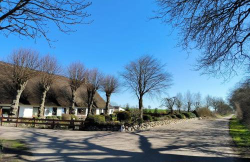 Huber - gemütliche FeWo mit Terrasse und Garten auf dem Lande - Foto 11