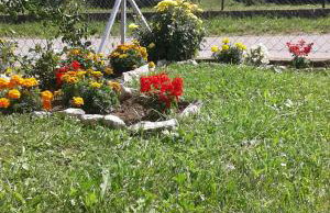 Apartment Dolores - Foto 28