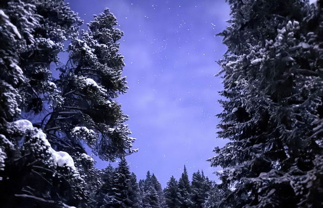 Lichen Huts - Foto 2