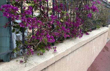 Quiet Private Apartment - 2min Train Station - 5min Palais Croisette - Private entrance - Photo 17