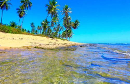 Sítio Meu Refúgio - Photo 12