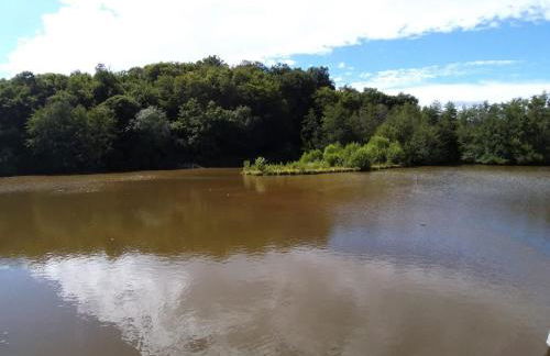 Maison Moulin Bousset - Foto 20