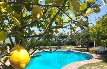 Casa Morello - Foto 23