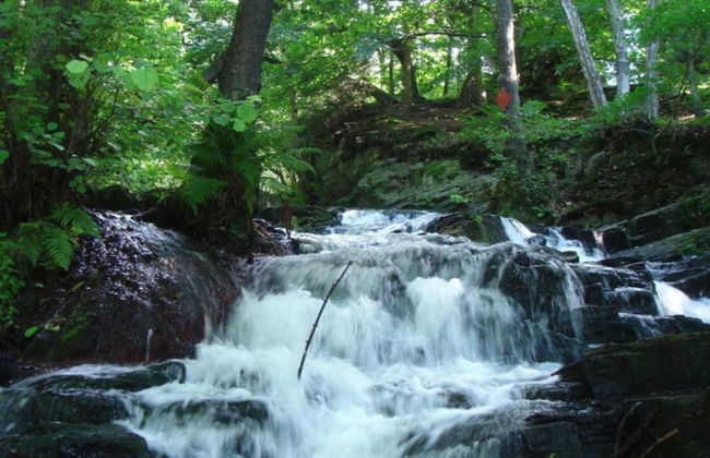 Holiday Home in Wolfsberg by River - Foto 34