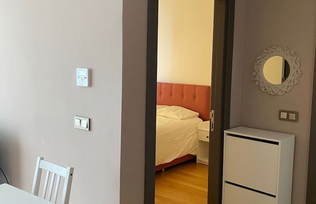 Deluxe 11 Unit For Rent In Centre Of Istanbul - Photo 8