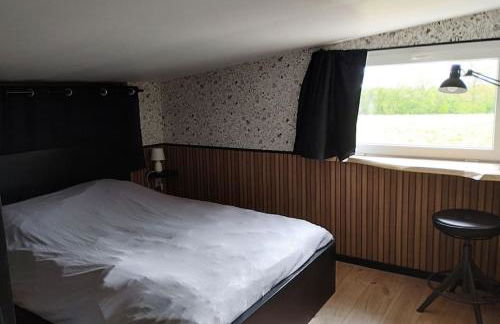 La Rose du Bel Homme - Foto 12