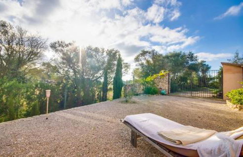 Higo Chumbo - Foto 24