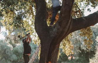 A Casa do Governador - Foto 92