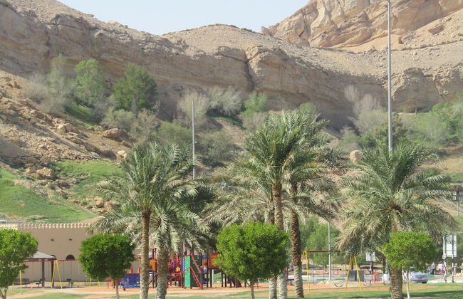 Green Mubazzarah Chalets - Photo 49