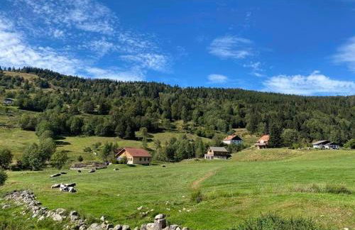 Chalet SPA Le Diamant Nathalie MN La Rouge - Foto 48