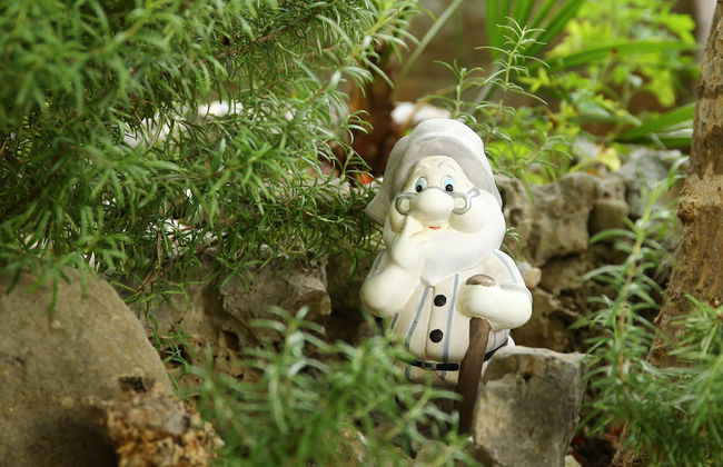 Apartments Boro - Foto 65