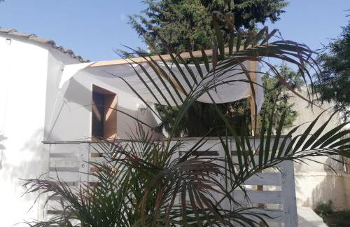 Mater Christi - Foto 27