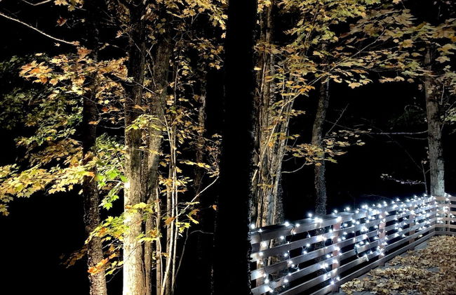 Hauser's Bayfield Cabin - Foto 49