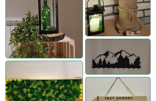 Moje Pieniny Apartament - Photo 39