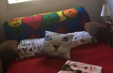 J&C ap.- Canela - Foto 21