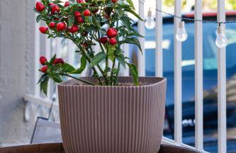 Sea&Salt Luxury Rooms - Foto 22