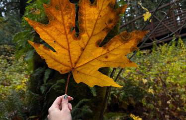 Mt Pilchuck River Cabin - Foto 26