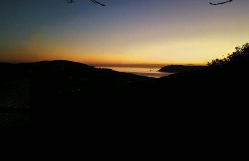 La casa dei fichi - Foto 14