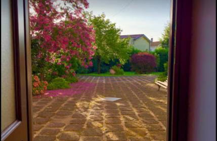 Il Giardino Segreto - Foto 21