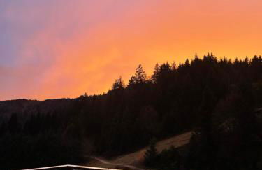 Beau duplex vue sur le Lac Blanc - Foto 2