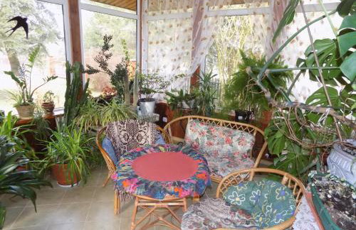 Kwiatowa Zagroda - Foto 43