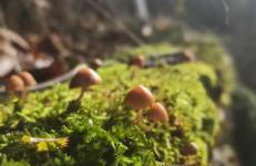 Casa Manuel y Ana María. - Foto 44