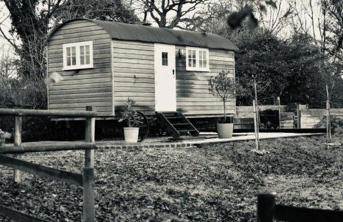 The Deer Hut - Foto 7