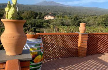 Camia Etna House - Foto 59