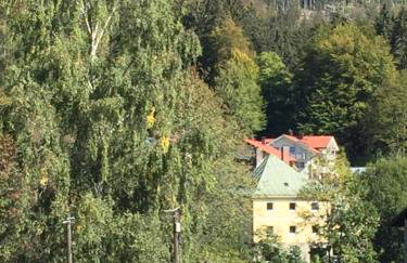 Das Alte Forsthaus Spiegelhütte - Foto 24